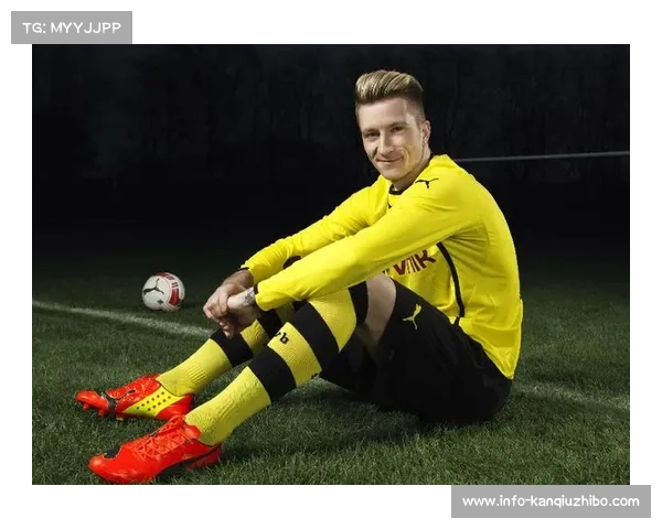 博格职业生涯回顾,多特蒙德历史名宿受关注 博格职业生涯回顾,多特蒙德历史名宿受关注